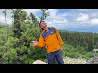 Сергей Ермаков - Перелётные птицы (mood video)