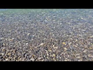 Погода на море сегодня.  Ясно, температура воздуха днем до 29 градусов в тени,  температура воды 23,2 градуса.  Море... (видео)