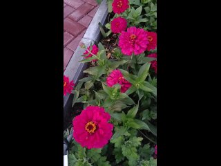 Добрый вечер.