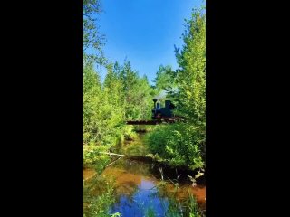 Узкоколейная железная дорога Павла Чилина — музей, где можно покататься на необычном паровозике .    Павел Чилин,... (видео)