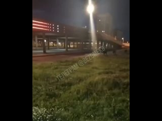 🐗 В Екатеринбурге на Таганском ряду заметили диких кабанов  Ночью в районе Таганского ряда горожане увидели трёх... (видео)