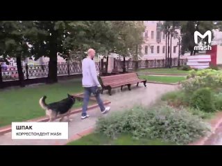 Наш бесстрашный корреспондент Шпак выгнал сам себя на улицы Москвы, чтобы показать любимым подписчикам ВСЮ ПРАВДУ про... (видео)
