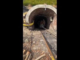 Самая опасная работа — добыча угля в 1900-х годах. (видео)