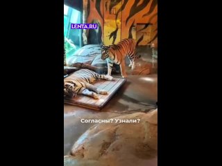 Больше концовку Титаника напомнила. - Илья Карпенко