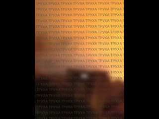Наши то хоть по военным объектам важным бьют и правильно делают. В отличие от хохлов, наши парни реально всё больше и... - Владимир Сычев