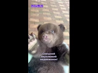 Какой малыш ! 😄👍 - Игорь Дударко