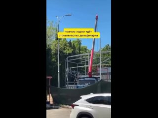 Вам нужна еще одна тюрьма для дельфинов?  Директор научно-экологического центра «Дельфа» Татьяна Белей категорически... (видео)