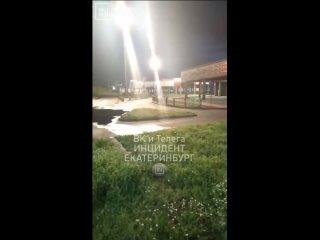 🐗 Кабанчики на Сортировке решили пофланировать на ночь. (видео)