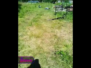 В Челябинской области зумеры-вандалы разгромили местное кладбище    В поселке на Южном Урале толпа детей разгромила... (видео)