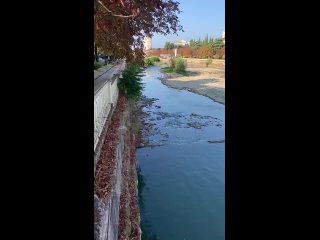 Рано радоваться: на три дня дождь передали... - Sochi Zaveru
