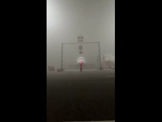 Завораживающее зрелище. Словно акула выплывает из недр темного океана (видео)