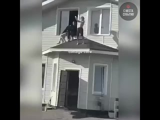 "Мы просто хотели отдохнуть!" — вечеринка подростков превратилась в кошмар для арендодателя  Компания 18-летних... (видео)