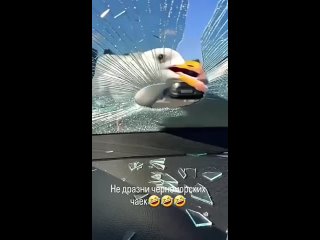 Бабушки и дети могут даже поверить в это) - Евгений Матвеев