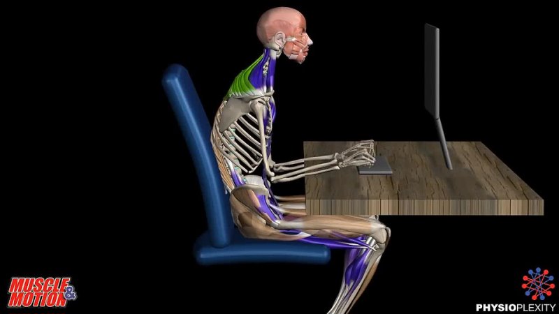 Prolonged sitting and back pain