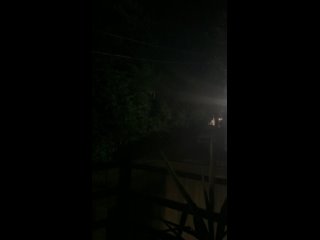 Сегодня ночью в Кургородке гуляли шакалы. (видео)