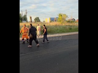 Пьяные цыгане с 13-летним водилой набросились на автомобилистов и дорожных рабочих в Московской области    Выгул табора... (видео)