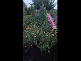 Добрый вечер