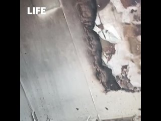 Всё ради лайков: девушка устроила пожар в квартире для видео.  19-летняя жительница Бугульмы решила снять видео для... (видео)