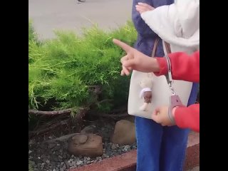 Подростки пытались заложить бомбу у входа на оборонный завод в Ижевске.  Школьники действовали по заданию украинских... (видео)