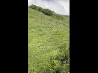 Долгой жизни 🫶🏻❤️❤️❤️ - Лия Бурт