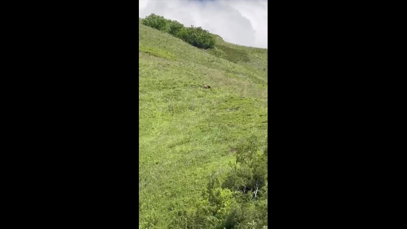 Долгой жизни 🫶🏻❤️❤️❤️ - Лия Бурт