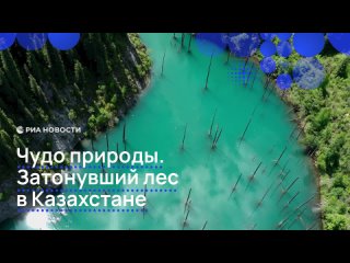 Озеро Каинды — настоящее чудо природы. Его уникальность заключается в том, что на дне находится хвойный лес    Озеро... (видео)