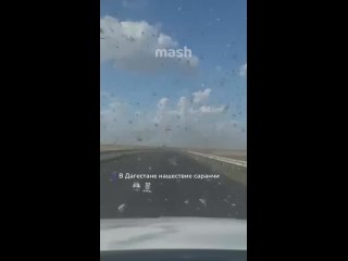 а в москве нашествие дагестанцев — теперь я понимаю почему!! - Дунаев Антон