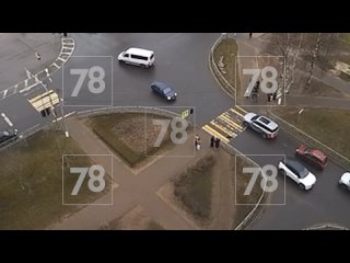 В Тихвине маленькая собачка погибла под колесами машины. Прохожие нашли её тело и хотели отвезти к ветеринару, но... (видео)