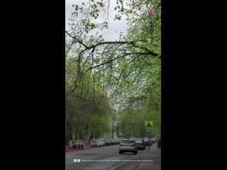 В Кронштадте началось обновление наружного освещения на улице Мартынова.    Вместо устаревших светильников установят 28... (видео)