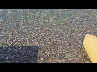 Погода на море сегодня отличная! Ясно и солнечно, температура воздуха днем до 32 градусов в тени, температура воды 27,... (видео)