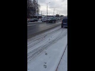 Жалельщики шипов. - Тимоха Жаров