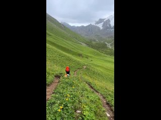 как песелю повезло - Светлана Пивоварова