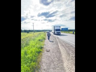 На трассе Екатеринбург - Шадринск - Курган произошло ДТП с участием грузового автомобиля    "Объездная Каменска.... (видео)
