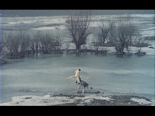 ”Скупщики перьев” //1967, драма// Александр Петрович