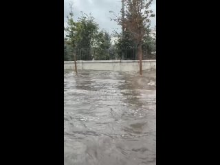 Обёртка красивая, начинка тухлая! - Жора Гусейнов