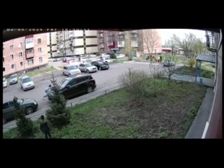Сбежавшие кони сбили семилетнюю девочку в Кемеровской области  Крик и Рубин ускакали с места выпаса и по пути снесли... (видео)