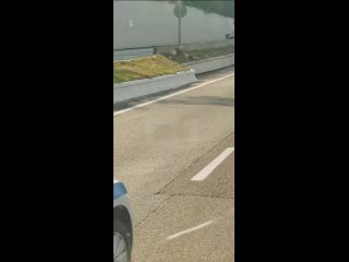 🤦♂️ Самого умного «торопыгу», который решил пристроиться за машиной ДПС, остановили в Сочи.  По словам наших... (видео)