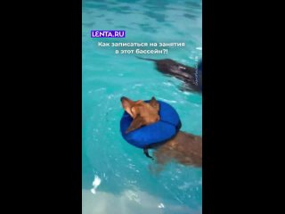 Картинки со смыслом или без... (видео)