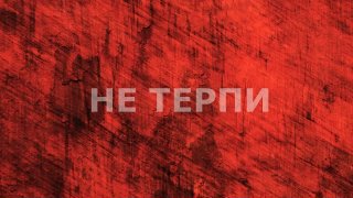 1Место Петрозаводск Соц.гост_Новая жизнь