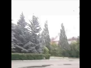 В Талице загорелся корпус в детском лагере. Спасатели рассказали, что пожар уже потушили — горели личные вещи на... (видео)