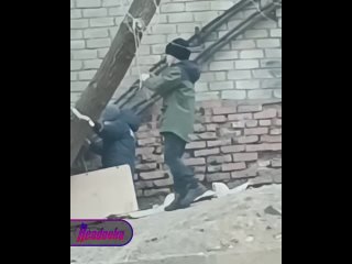 В Приморье дети настолько суровы, что решили поиграть в кризис среднего возраста    На юге Владивостока пара... (видео)