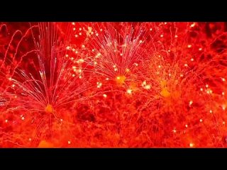 🎆 Праздничный салют гремит в небе над Москвой!    В небе над Москвой расцвели огни салюта в честь 80-й годовщины... (видео)