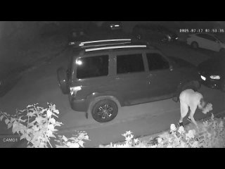 Пожилая женщина, Вам не стыдно? Ну попросили бы поделиться саженцами, но не выдрать же с корнями! Жалко свой трёхлетний... (видео)