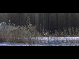 Убить Императора / Ye yan (2006)