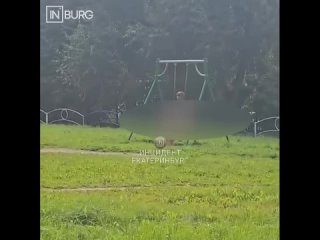 Сегодня на ЖБИ заметили обнаженного мужчину  Видео прислал наш подписчик. Напоминаем, что вы также можете стать автором... (видео)