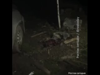 Собака погибла в результате атаки БПЛА в Красносулинском районе    Как рассказали жители поселка Раково, также в... (видео)