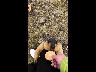 Доброе утро! (видео)
