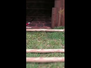 Новостройка за 2м в экологически чистом районе 😂 - Игорь Вашлаев