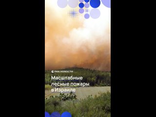 В Израиле распространяются лесные пожары. На трассе между Иерусалимом и Тель-Авивом людям приходится бросать свои... (видео)