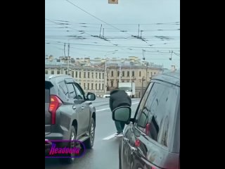 Петербуржцы спасли утиную семейку    На Тучковом мосту в Петербурге мама-утка решила устроить прогулку с утятами прямо... (видео)